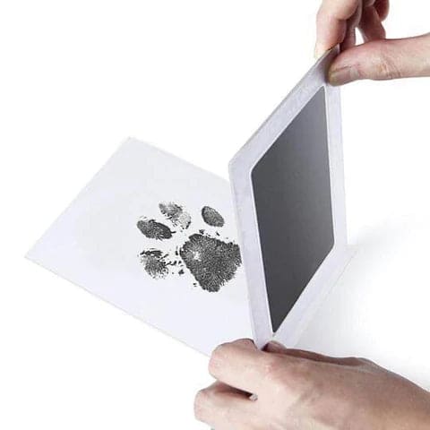 Paw Print Stamp Pad