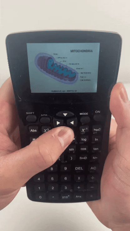 The Calc Cheat™