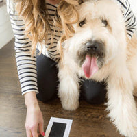 Paw Print Stamp Pad