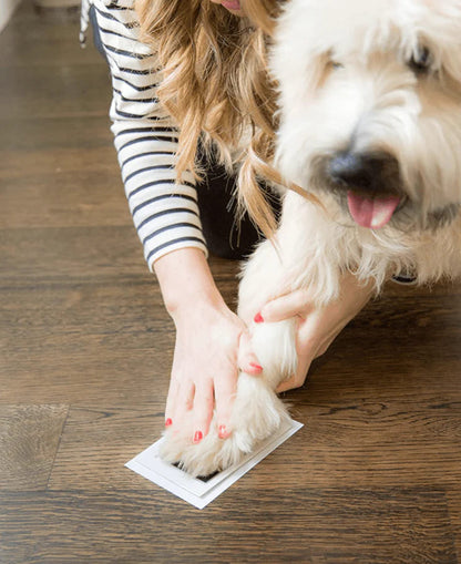 Paw Print Stamp Pad