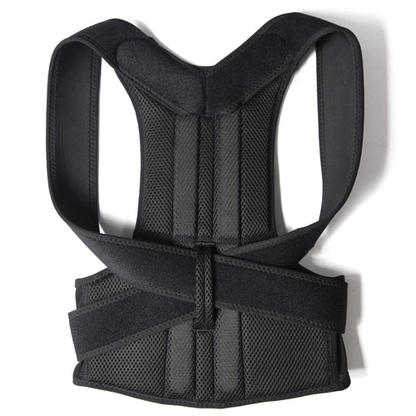 Back Brace